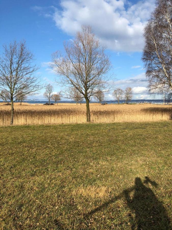 Hotel Am See Hard Exteriör bild